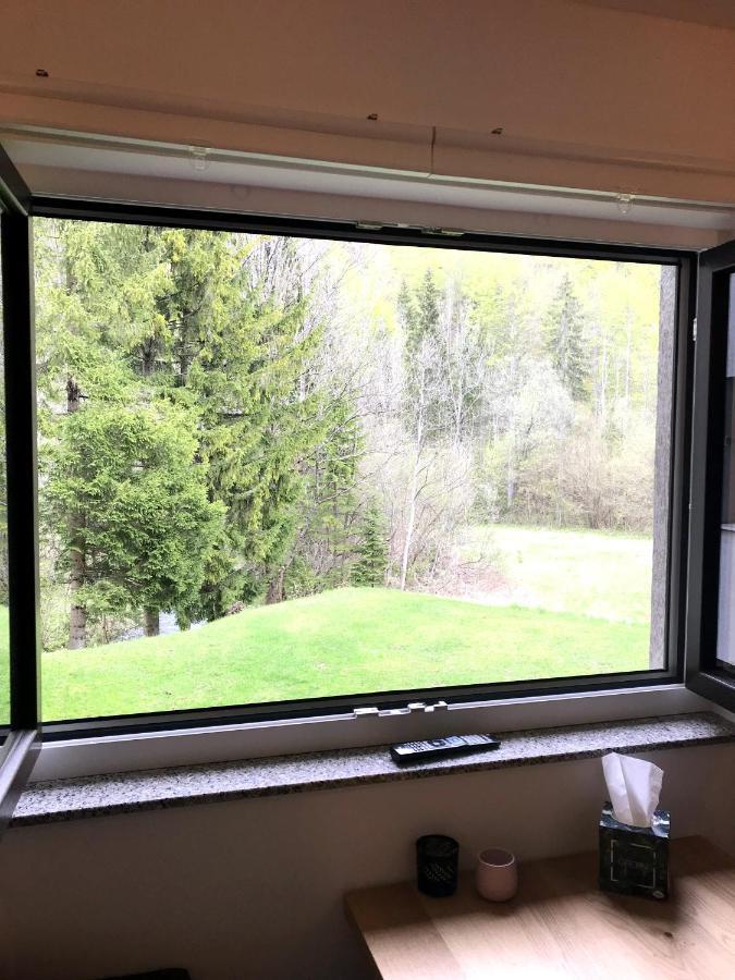 Apartment Loyd, Kranjska Gora - Studio Buitenkant foto