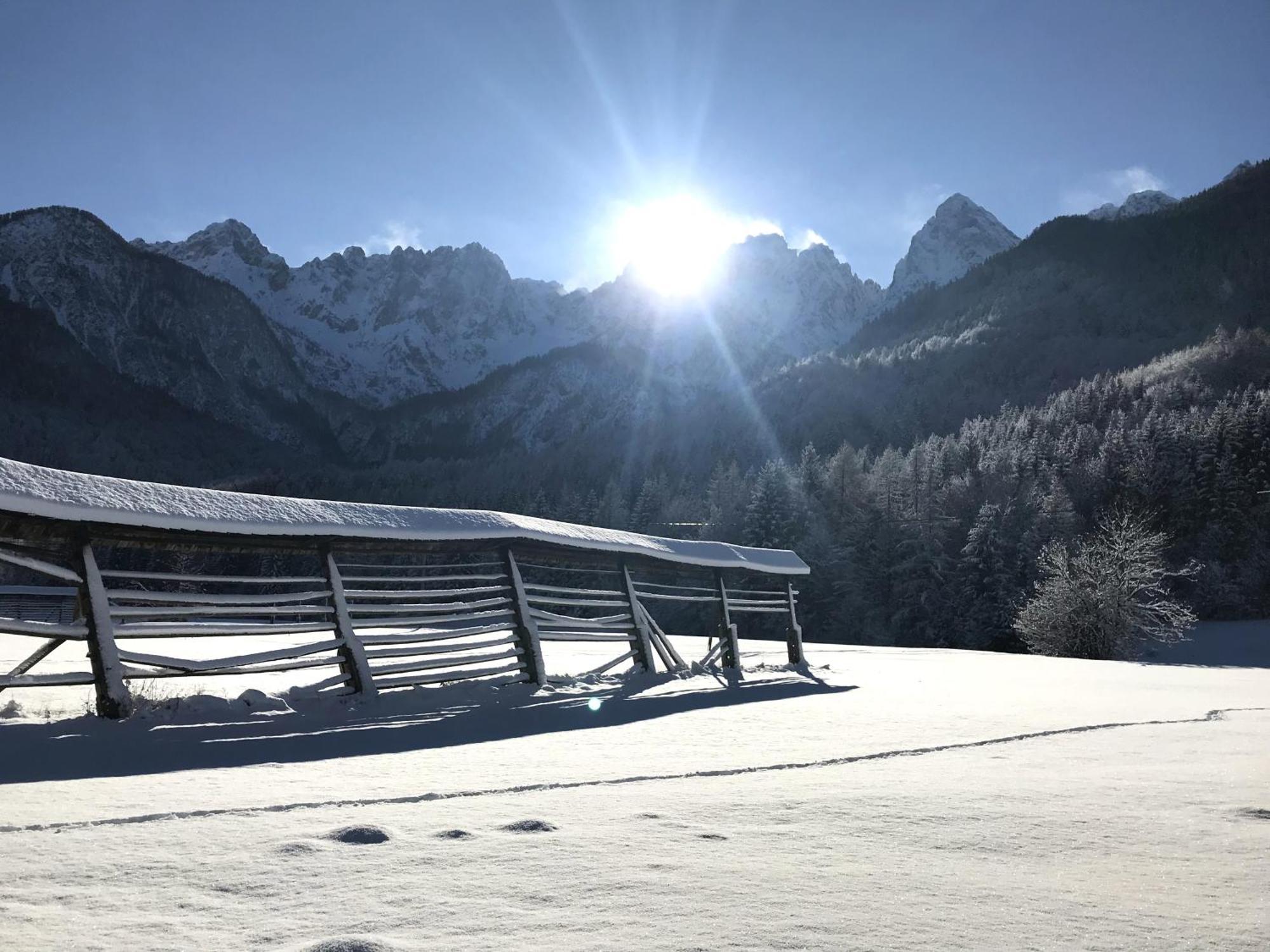 Apartment Loyd, Kranjska Gora - Studio Buitenkant foto